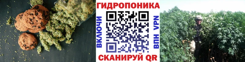 наркотики  Дзержинск  Еда ТГК марихуана 