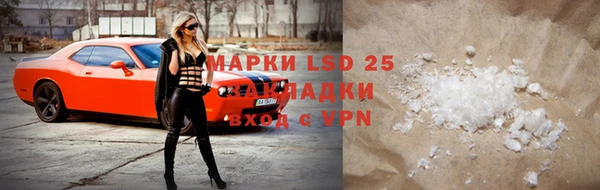 эйфоретик Аркадак