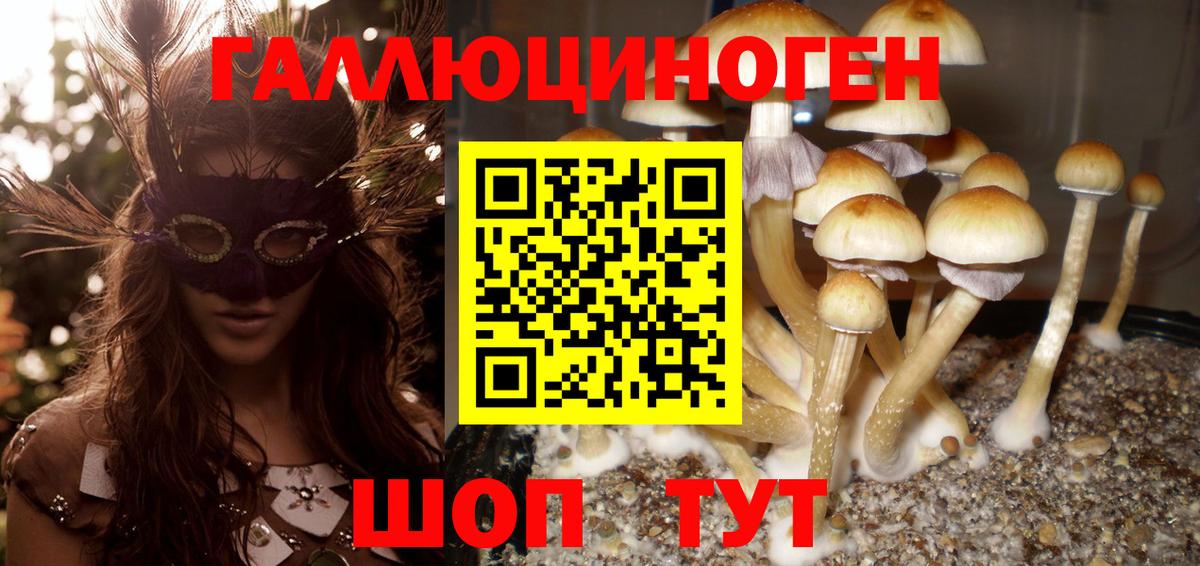 Псилоцибиновые грибы мухоморы  Вход с VPN  Дзержинск 
