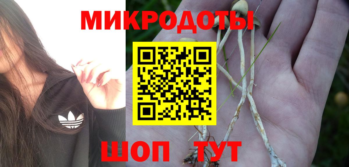 Псилоцибиновые грибы прущие грибы Дзержинск